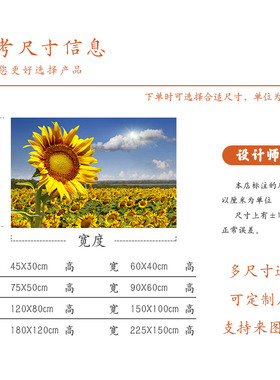 向日葵自粘贴画装饰客厅荷花遮挡玻璃镜子窗户向阳花海报墙壁贴纸
