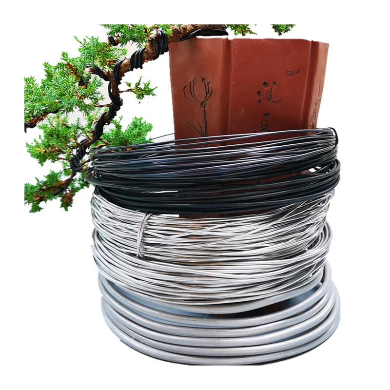 盆景铁丝造型铝丝定型铝线绑花蟠扎用丝园艺植物盆栽软黑吕铝丝线 - 图3