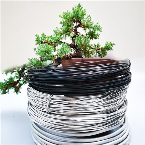 盆景铁丝造型铝丝定型铝线绑花蟠扎用丝园艺植物盆栽软黑吕铝丝线 - 图2
