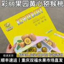 Colourful Orchard Orchard Yellow Heart Macaque box for Pregnant Woman Children Fresh Love Color Chic Exotic Fruits Chongqing Shuangfu Fruit