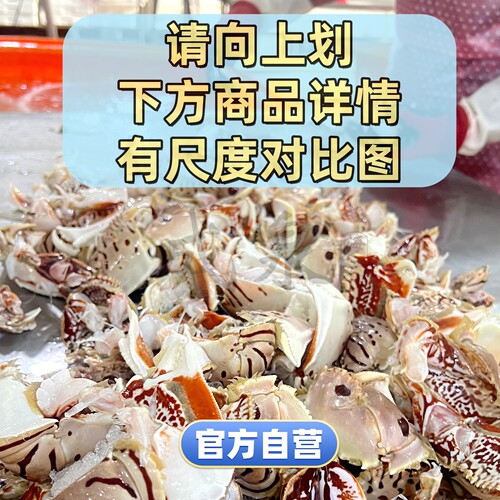全规格商用元宝蟹钳面包蟹钳蟹脚蟹腿新鲜冷冻水产餐饮批发有冰衣 - 图3