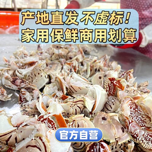 全规格商用元宝蟹钳面包蟹钳蟹脚蟹腿新鲜冷冻水产餐饮批发有冰衣 - 图0