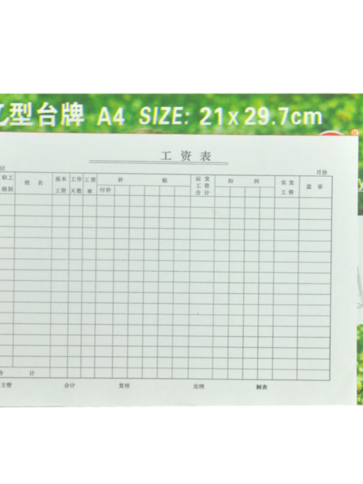 工资表薪水表考勤表薪资结算单工资单据财务报表记工本10本装-图2