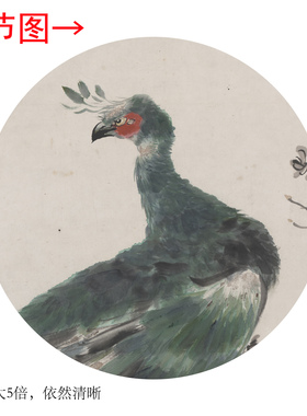 近代江寒汀《孔雀》中式花鸟茶室禅意客厅书房直播高清卷挂轴字画