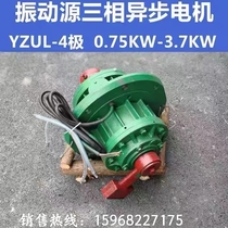 Manufacturer Direct high-quality three-compartment asynchronous motor motor vibration grinding polishing machine General all-copper motor