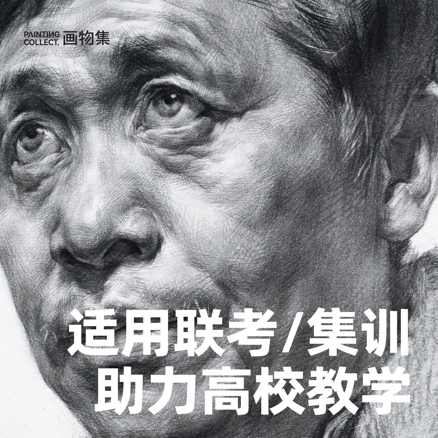 米娅M系炭笔美术生专用素描速写特软碳笔软炭/中硬哑光哑光速写14B铅笔套装学生用集训联考考试铅笔,淘宝优惠券,粉丝福利购,淘宝优惠卷