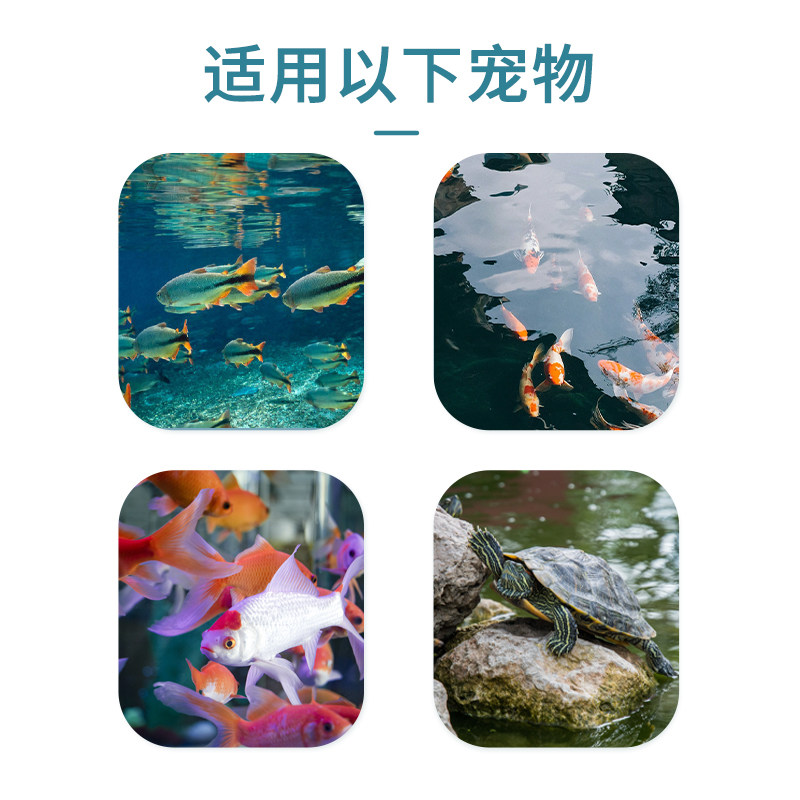 水族硫酸阿米卡星锦鲤肠炎水产乌龟感冒肺炎药白点净鱼药烂身烂尾,淘宝优惠券,粉丝福利购,淘宝优惠卷