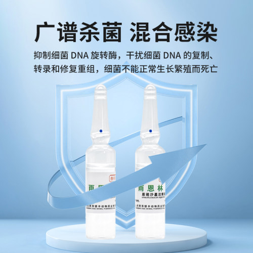 宠物恩诺沙星注射液猫咪狗狗犬用腹泻拉稀肠炎子宫炎尿道产后消炎 - 图0