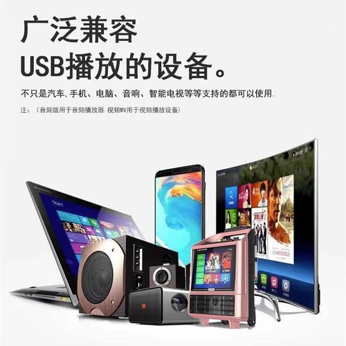 玄冥二老车载U盘EA7炸街重低音嗨曲DJ电音劲爆高音质无损车用优盘-图0