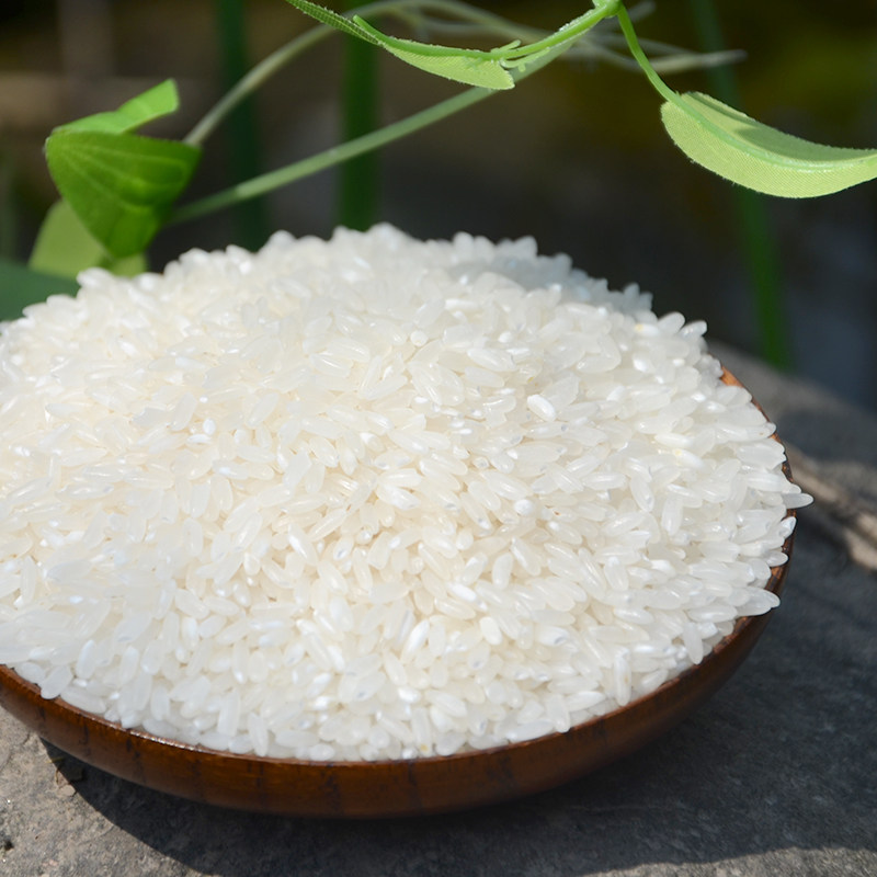 2023年新米五常大米有机种植东北黑龙江优质米自然农法5kg十斤装 - 图3