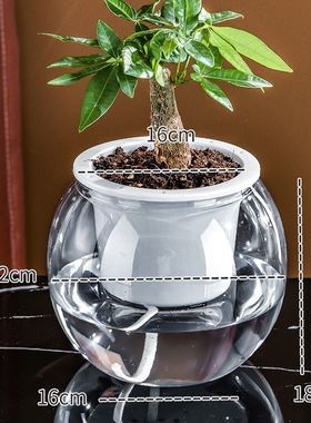 仿玻璃瓶水培植物透明花瓶容器绿萝花盆圆球形鱼缸水养超小号器皿