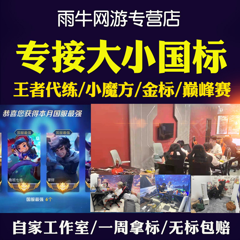 王者荣耀代练工作室打大小国标省标巅峰战力百星魔方上分排位陪玩_虎窝淘