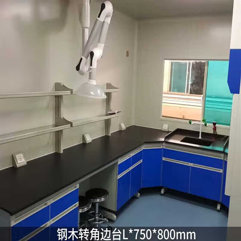 全钢实验台实验室工作台钢木实验台操作台化验工作台实验桌实验台 - 图3