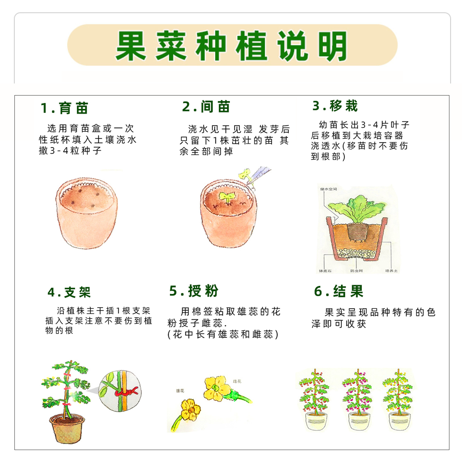 10包蔬菜种子四季播种盆栽草莓黄瓜生菜辣椒菠菜小葱番茄菜籽种孑 - 图2