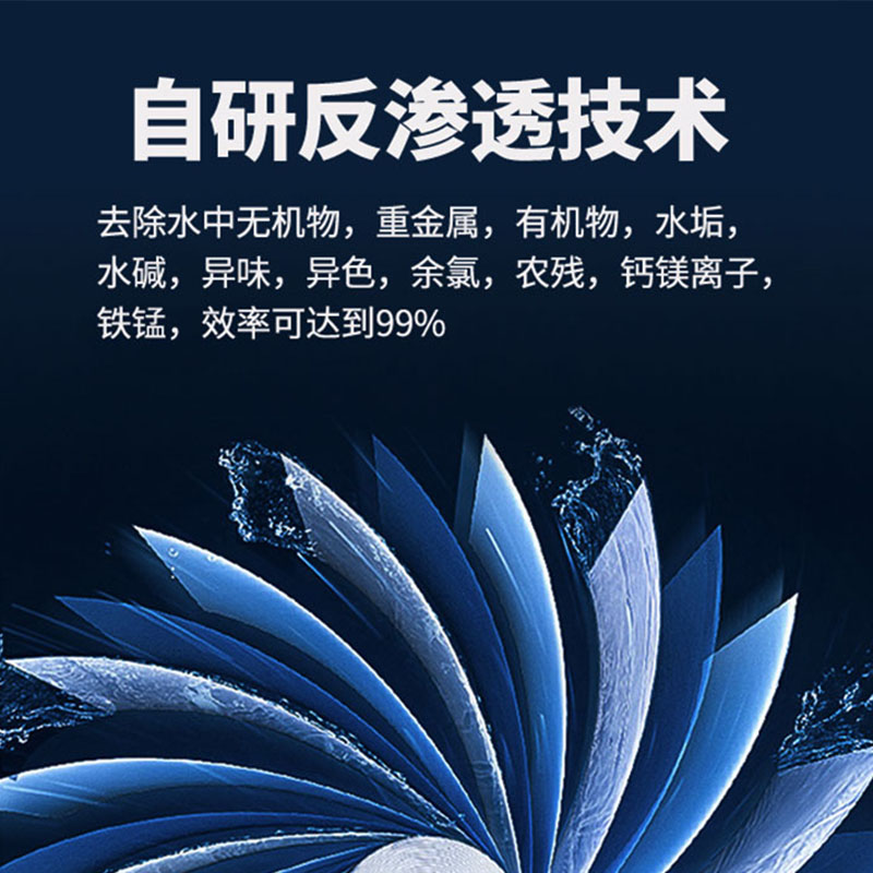 蓝莓种植水处理设备ro膜反渗透净水设备去离子纯水机地下水石英石 - 图0