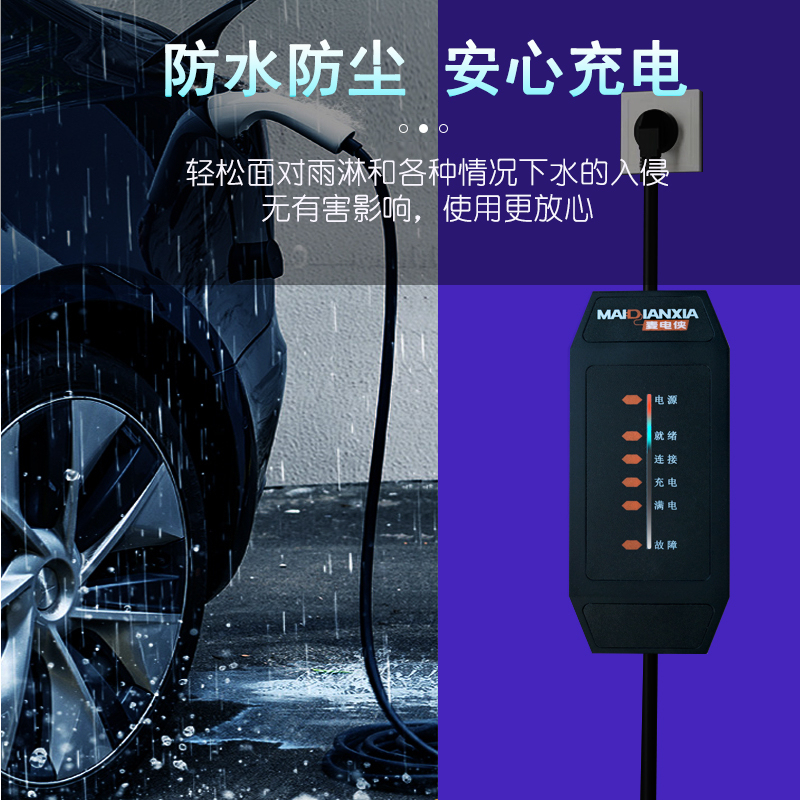 新能源电动汽车充电器枪桩3kw16A随车充免接地线特斯拉比亚迪北汽 - 图0