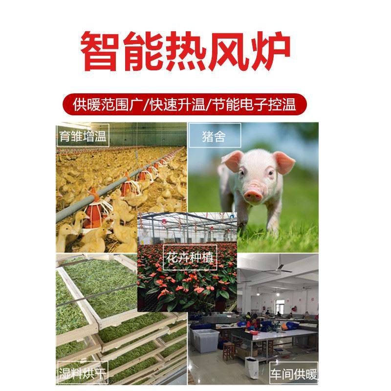 热风炉花卉种植大棚供暖炉养殖鸡舍鸭棚育雏供暖炉燃煤型暖风炉,淘宝优惠券,粉丝福利购,淘宝优惠卷