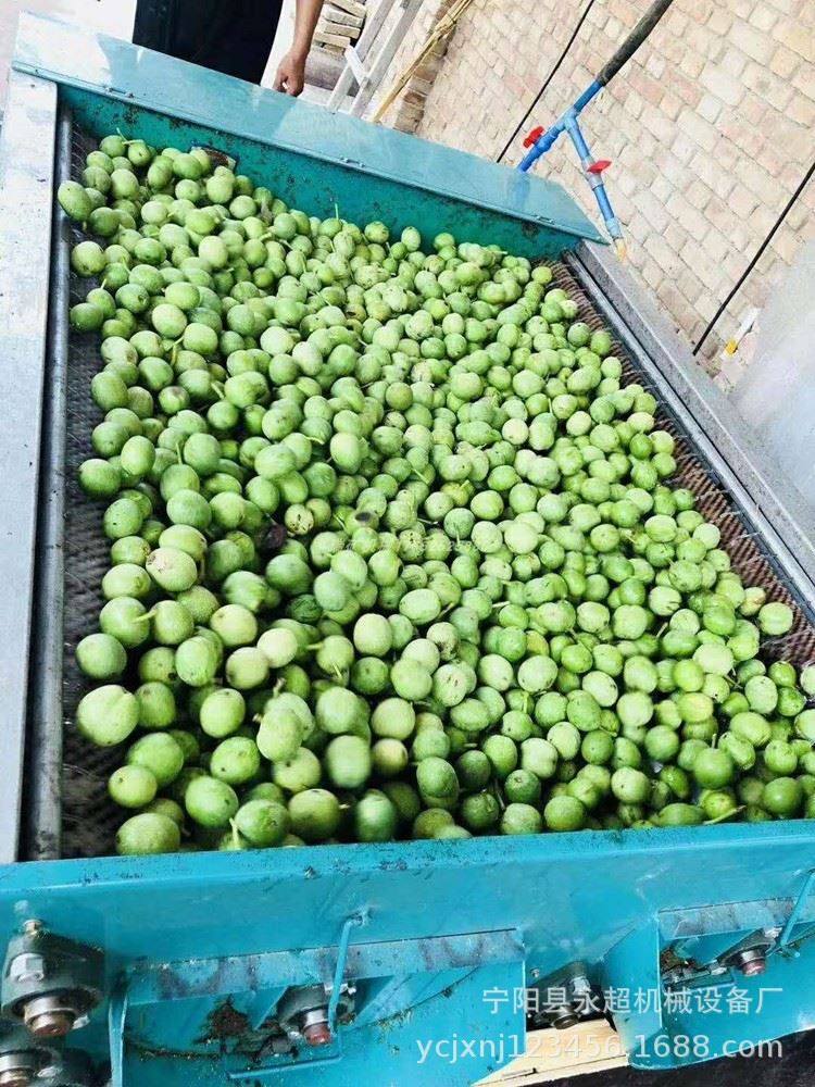 云南青核桃去皮清洗一体机家用电动核桃剥皮农用脱皮机厂家,淘宝优惠券,粉丝福利购,淘宝优惠卷