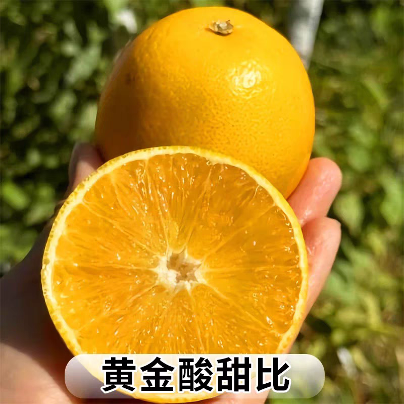 2025褚橙云南哀牢山冰糖橙褚氏褚橙新鲜水果橙子水果冰糖橙褚花斑,淘宝优惠券,粉丝福利购,淘宝优惠卷