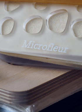 国产Microfleur微波押花器压花器