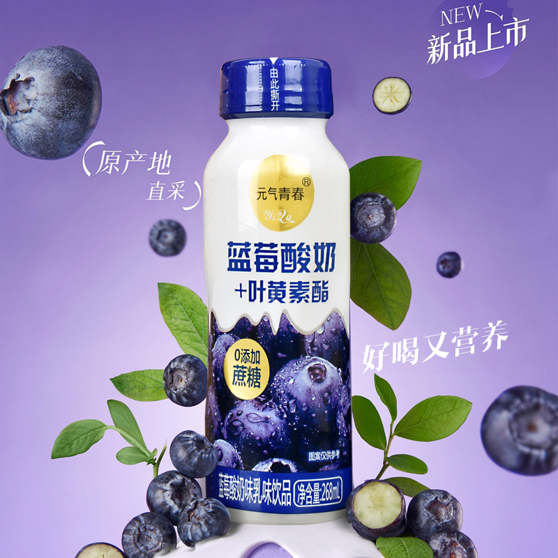 酸奶蓝莓叶黄素酯早餐奶268ml瓶装0蔗糖花青素护视力营养乳味饮品