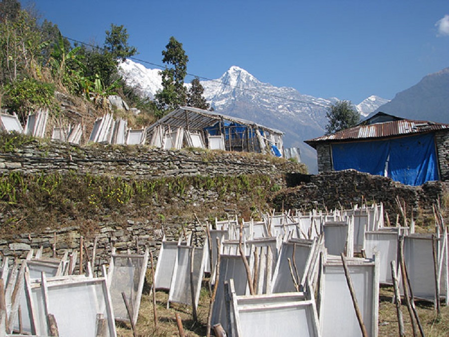 尼泊尔LOKATA洛卡塔植物手工本草纸笔记本高颜值相册盖章手账本-图2