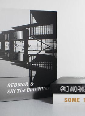 现代简约时尚样板房建筑艺术书拍摄道具办公室书柜装饰品摆件真书