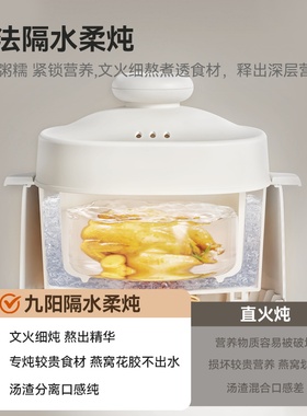 九阳多功能隔水炖电炖锅