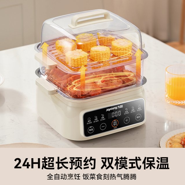 Smart electric steamer model can be made