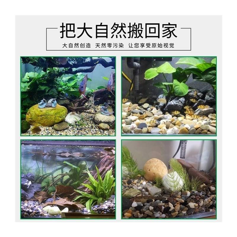 鱼缸水草植物石头天然河沙溪流沙鹅卵石水族缸多肉铺面小石子过滤