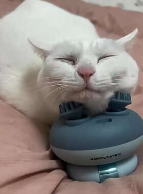 猫咪按摩头部神器宠物自动仪器