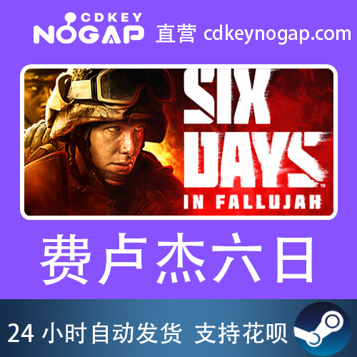 费卢杰六日Steam国区CDKEY正版激活码Six Days in Fallujah-图0