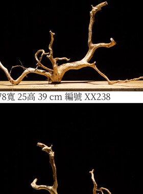 热销杜鹃根鱼缸造景素材草缸布景树根大号树枝天然树形雨林插花水