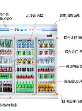 跨境直供冷藏柜单门酒水饮料柜连锁店展示柜冷柜OEM厂家华尔冰柜