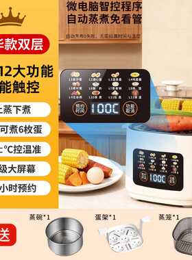 2026新款自动断电多功能蒸煮一体