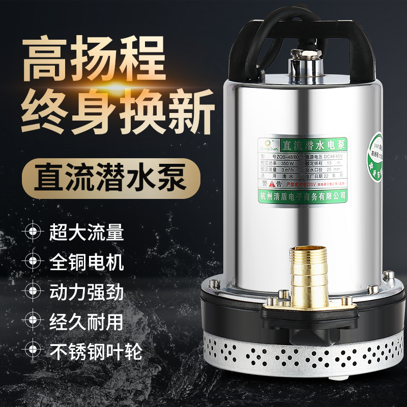 德国精工直流潜水泵48V60V72伏家用电动车水泵12V24V瓶小型农田灌 - 图2