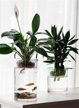 井柚水培植物定植篮花卉植物固定器绿箩花瓶无土定植篮大号