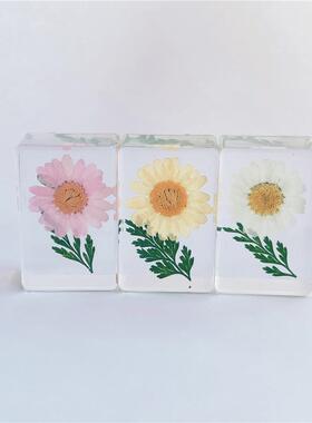 创意新款手工滴胶干花摆件 压书树脂家居装饰工艺品景区