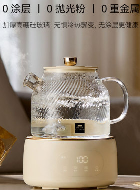 康宁养生壶炖煮一体家用多功能花茶壶全玻璃纯养生烧水壶