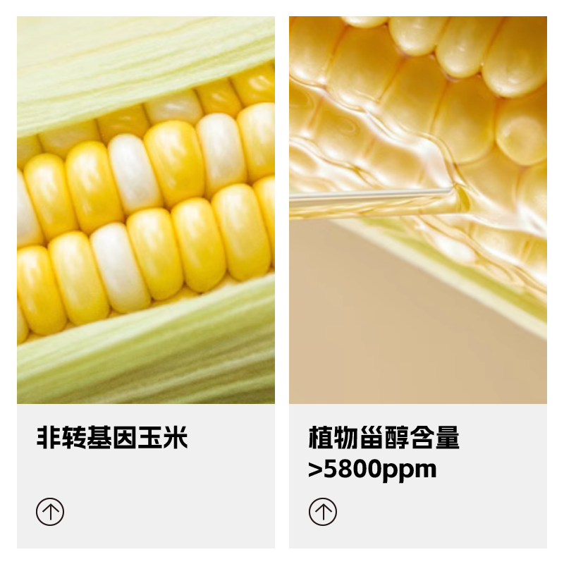 会员精选-金龙鱼低芥酸菜籽油/玉米胚芽油/玉米葵花籽调和油4L