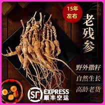 Wild forest Under-ginseng for 30 years old age Old Mountain ginseng East and North Wild ginseng Changbai Mountain Ginseng Remnant Rust Ginseng and Dried Goods
