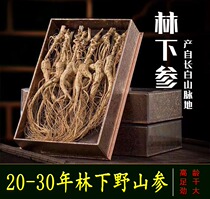Ginseng Changbai Mountain Mountain ginseng 20 years Bubble Wine Mountain Exhibi boxer Tohoku Linchin ginseng Ginseng Dry Goods 3