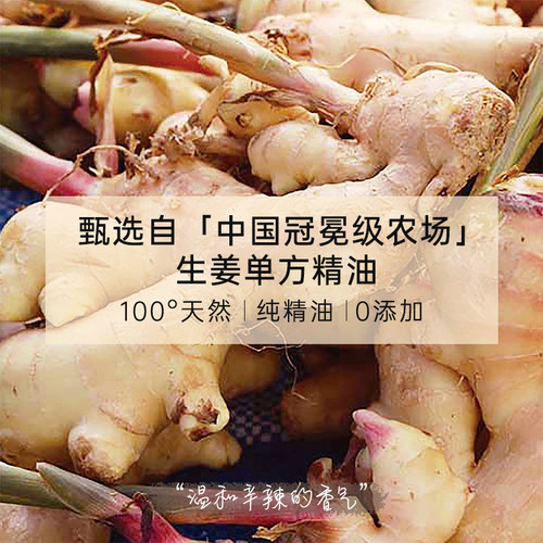 【100%纯精油】卡芬诗生姜单方精油 香薰扩香晕车晕机神器 - 图0