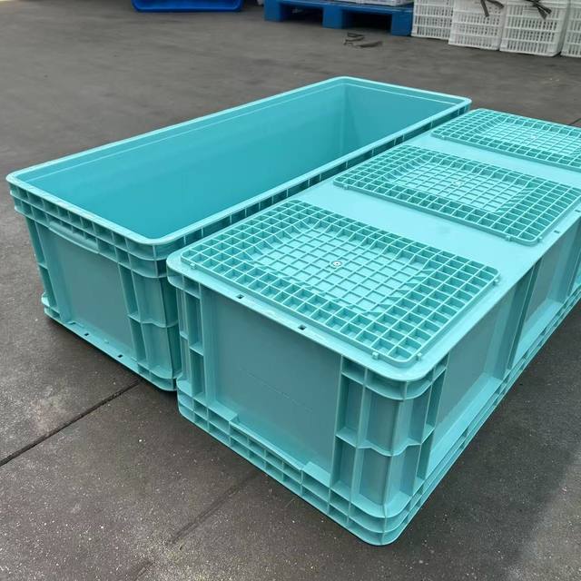 Logistics box thick fish raising turtle box turtle