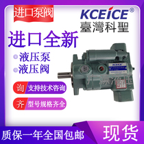 P16-A1-F-R-01 P16-A0-F-R-01 KCEICE Taiwan Section San Original Loaded Plunger Pump