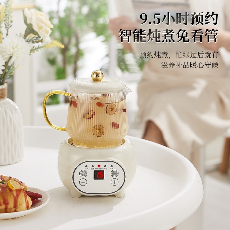  兴格尼养生壶/煎药壶