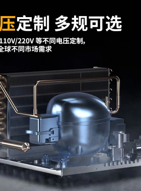 冰柜商用冷冻柜家用冷藏两用大容量卧式速冻冷柜可定制出口冰箱