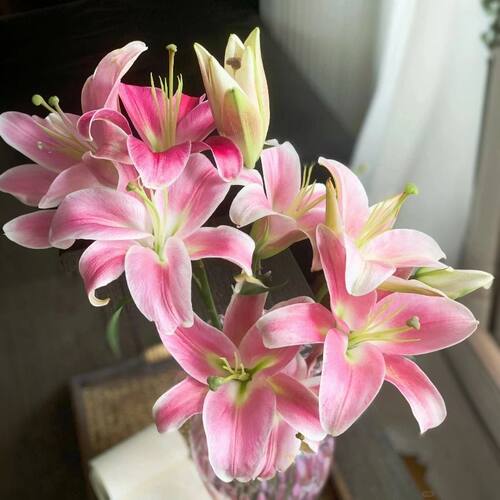 香水百合花鲜花卉云南昆明基地直发新鲜切花家用插花束送礼物教师 - 图1