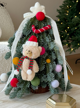 新款圣诞节装饰2025新款仿真诺贝松小圣诞树桌面氛围布置摆件