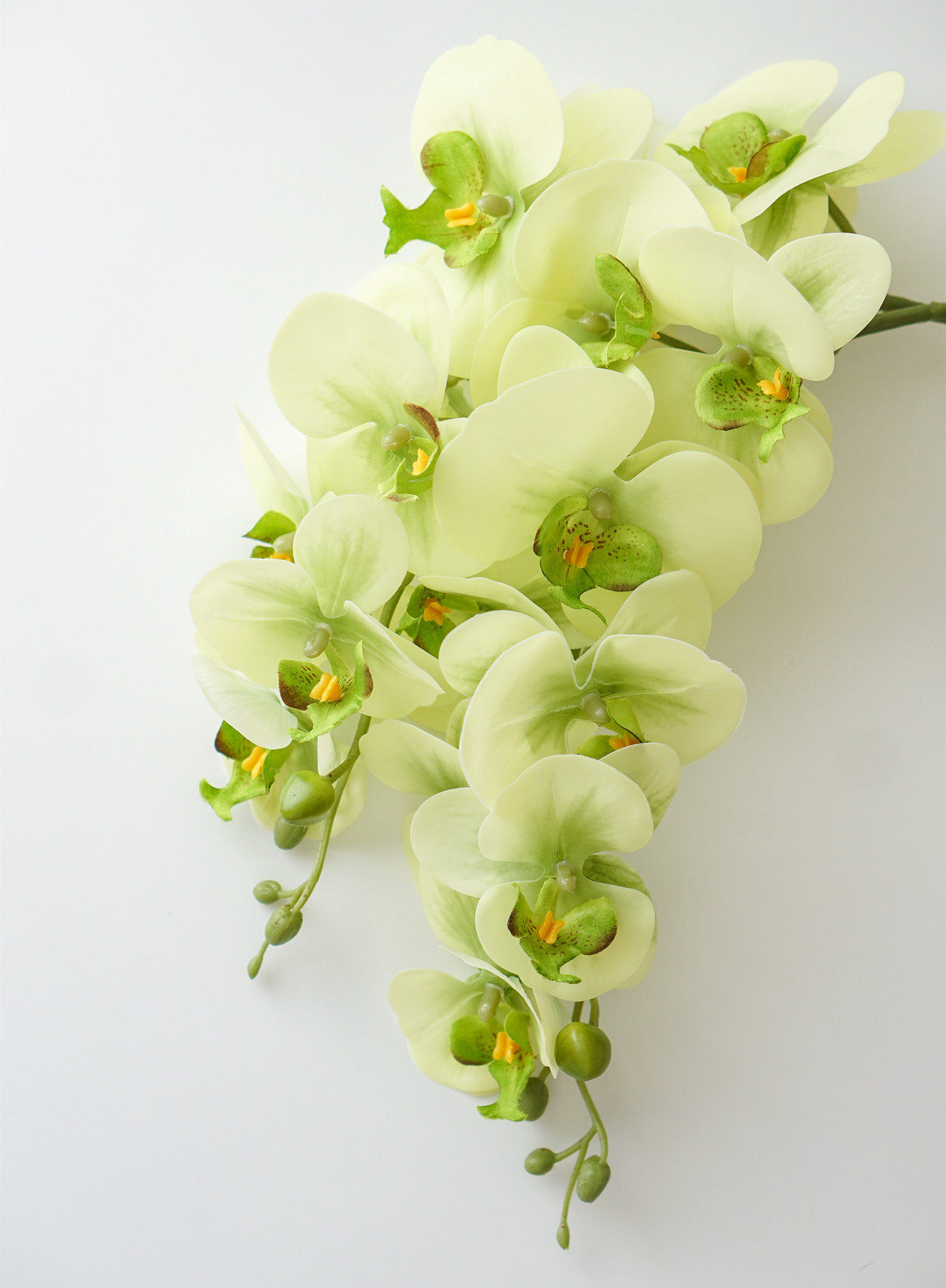 手感保湿蝴蝶兰仿真花假花桌面摆设轻奢高端插花餐桌花艺摆件装饰,淘宝优惠券,粉丝福利购,淘宝优惠卷